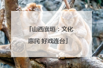 山西襄垣：文化惠民 好戏连台