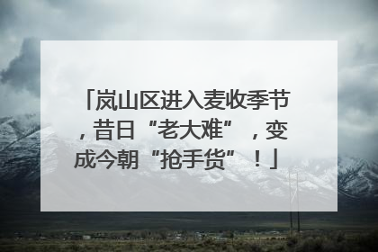 岚山区进入麦收季节，昔日“老大难”，变成今朝“抢手货”！