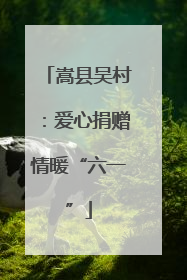 嵩县吴村：爱心捐赠情暖“六一”