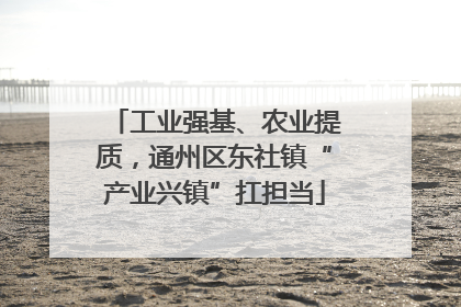 工业强基、农业提质，通州区东社镇“产业兴镇”扛担当