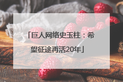 巨人网络史玉柱：希望征途再活20年