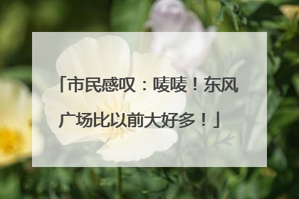 市民感叹：唛唛！东风广场比以前大好多！