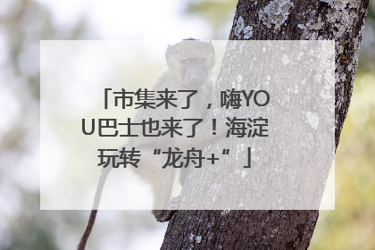 市集来了，嗨YOU巴士也来了！海淀玩转“龙舟+”