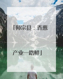师宗县：香葱产业一路鲜
