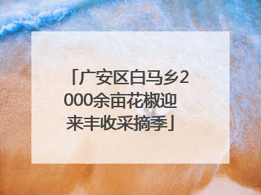 广安区白马乡2000余亩花椒迎来丰收采摘季