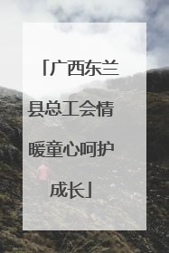 广西东兰县总工会情暖童心呵护成长