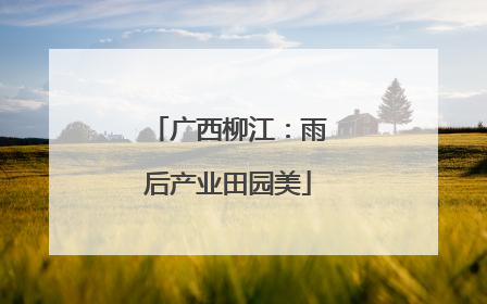 广西柳江：雨后产业田园美