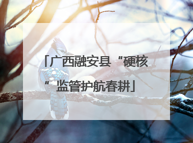 广西融安县“硬核”监管护航春耕