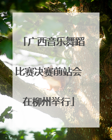 广西音乐舞蹈比赛决赛前站会在柳州举行
