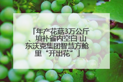 年产花菇3万公斤、填补省内空白 山东沃克集团智慧方舱里“开出花”