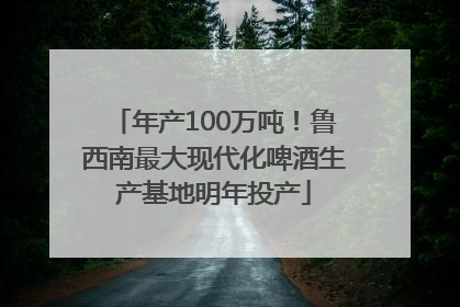 年产100万吨！鲁西南最大现代化啤酒生产基地明年投产