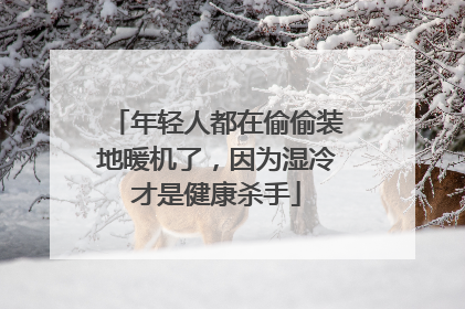 年轻人都在偷偷装地暖机了，因为湿冷才是健康杀手