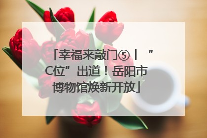 幸福来敲门⑤丨“C位”出道！岳阳市博物馆焕新开放