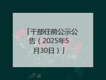干部任前公示公告（2025年5月30日）