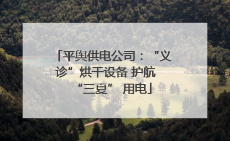 平舆供电公司：“义诊”烘干设备 护航 “三夏” 用电