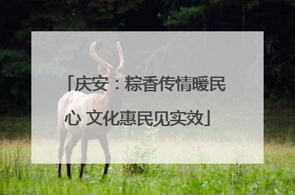 庆安：粽香传情暖民心 文化惠民见实效