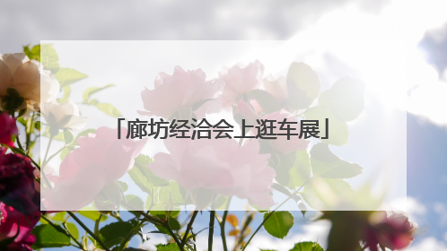 廊坊经洽会上逛车展