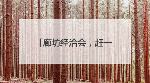 廊坊经洽会，赶一场国际化的经济大集｜新京报评论