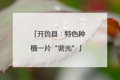 开鲁县：特色种植一片“薯光”