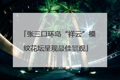 张三口环岛“祥云”模纹花坛呈现最佳景观