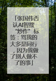 张国伟否认AI智搜“炒作”标签：骂我的大多是同行，因为我做了别人做不了的事