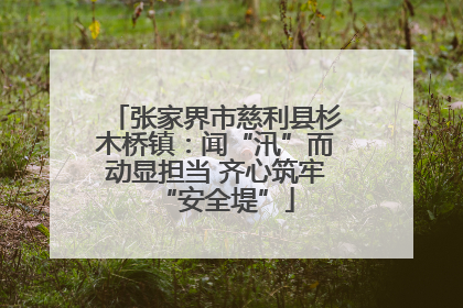张家界市慈利县杉木桥镇：闻“汛”而动显担当 齐心筑牢“安全堤”