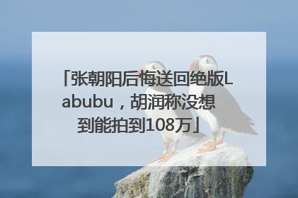 张朝阳后悔送回绝版Labubu，胡润称没想到能拍到108万