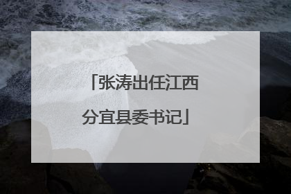 张涛出任江西分宜县委书记