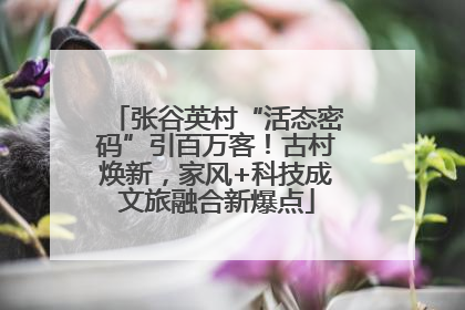 张谷英村“活态密码”引百万客！古村焕新，家风+科技成文旅融合新爆点