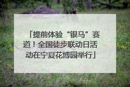 提前体验“银马”赛道！全国徒步联动日活动在宁夏花博园举行