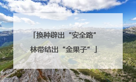 换种辟出“安全路” 林带结出“金果子”