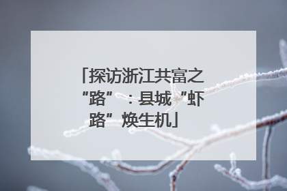 探访浙江共富之“路”：县城“虾路”焕生机