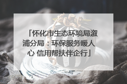 怀化市生态环境局溆浦分局：环保服务暖人心 信用帮扶伴企行