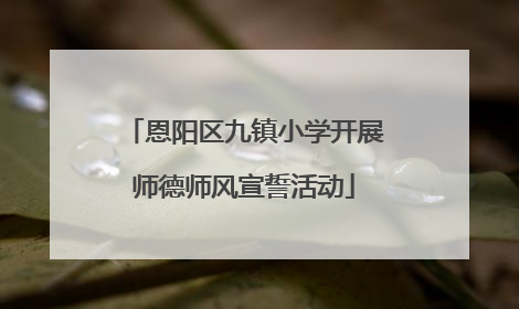 恩阳区九镇小学开展师德师风宣誓活动