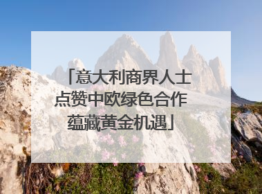 意大利商界人士点赞中欧绿色合作蕴藏黄金机遇