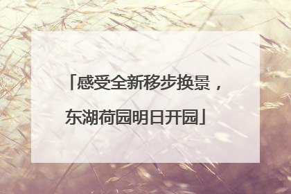感受全新移步换景，东湖荷园明日开园