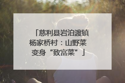 慈利县岩泊渡镇杨家桥村：山野菜变身“致富菜”