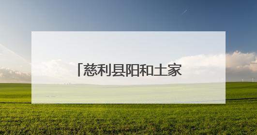 慈利县阳和土家族乡：净网清河，共护溇澧清波
