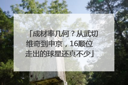 成材率几何？从武切维奇到申京，16顺位走出的球星还真不少
