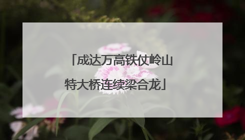 成达万高铁仗岭山特大桥连续梁合龙