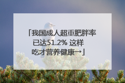 我国成人超重肥胖率已达51.2% 这样吃才营养健康→