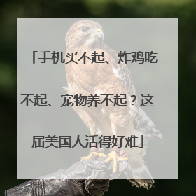 手机买不起、炸鸡吃不起、宠物养不起？这届美国人活得好难