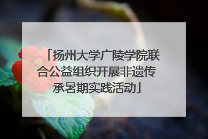 扬州大学广陵学院联合公益组织开展非遗传承暑期实践活动