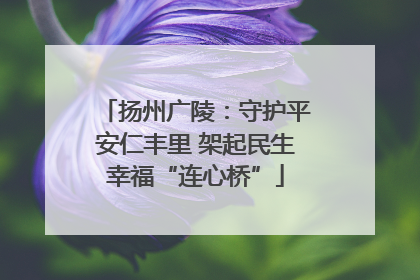扬州广陵：守护平安仁丰里 架起民生幸福“连心桥”
