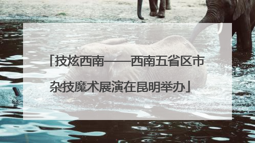 技炫西南——西南五省区市杂技魔术展演在昆明举办