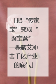 把“传家宝”变成“聚宝盆” 一株蕲艾冲击千亿产业的底气