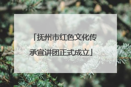 抚州市红色文化传承宣讲团正式成立