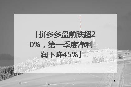拼多多盘前跌超20%，第一季度净利润下降45%