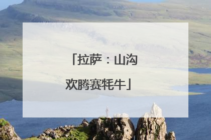 拉萨：山沟欢腾赛牦牛