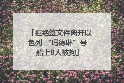 拒绝签文件离开以色列 “玛德琳”号船上8人被拘